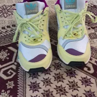 لیمویی ویتنام|کیف، کفش، کمربند|وحیدیه, |دیوار