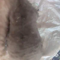 هیزه پنج و هفت کیلویی