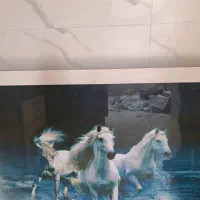 تابلو زیبای اسب با نور پشت زمینه|تابلو، نقاشی، عکس|بندرعباس, |دیوار