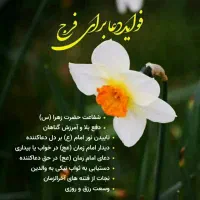 همکاری در امور منزل