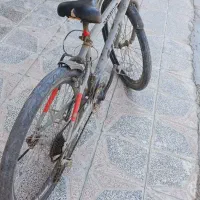 دوچرخه دماوند اصلی|دوچرخه، اسکیت، اسکوتر|کرمانشاه, |دیوار