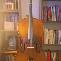 ویولنسل ۴/۴ برند weinbach