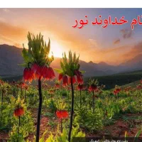 کارگرگلخانه زن و مرد