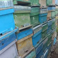 کندو خالی زنبور