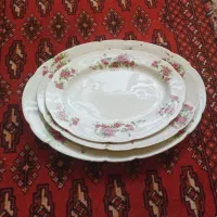 چند عدد دیس گلسرخ گل سرخی در سایزهای متفاوت