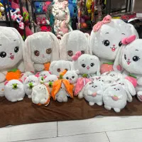 عروسک خرگوش میوه ب دست