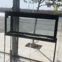 آکواریوم ماهی