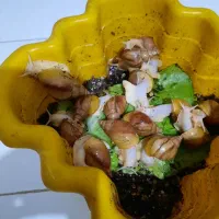 حلزون تراپی برای پوست