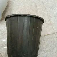 فروش گلدان در حد نو|حراج|صومعه‌سرا, |دیوار