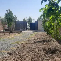 شراکت و همکاری