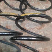 فنر لول سمند فابریک