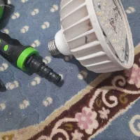 تعدادی لامپ ودار واره|حراج|بم, |دیوار