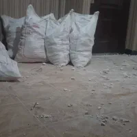 تخریب کاری|خدمات پیشه و مهارت|اهواز, سپیدار|دیوار