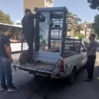 مکعبی فر*tigoساندویچی steel گردان / جوجه ترش|کافیشاپ و رستوران|اهواز, کوی قائم|دیوار