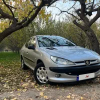 ۲۰۶ تیپ دو موتور فرانسه ۸۷