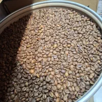 رست و پخش انواع قهوه با بهترین کیفیت