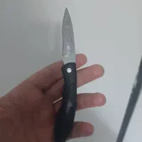 چاقو تاشو جمع و جور و فوق العاده تیز