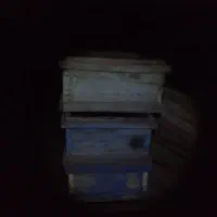 طبق کندو کاملا سالم
