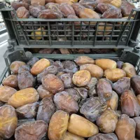 اگه کیفیت خرما برات مهمه زنگ بزن یا پیام بزار