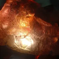 فروش کهربا اصلی راف