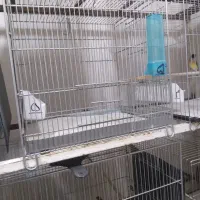 قفس مناسب سهره