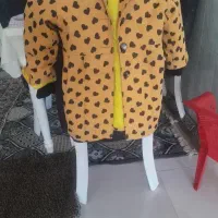 پالتودرحدنو