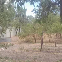 ملک-کشاورزی
