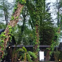 نیروی ظرفشور