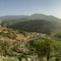 نیازمند دامدار با حداکثر ۱۰۰ راس دام