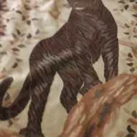 کوله پشتی وغیره|کیف، کفش، کمربند|بوکان, |دیوار