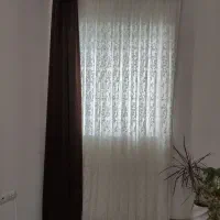 پرده سالن پذیرایی|پرده، رانر، رومیزی|ساری, |دیوار