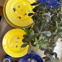 سرویس سرامیکی غذا خوری ۶ نفره