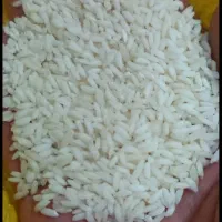 برنج شمال