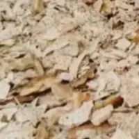 نان خشک فروشی