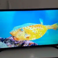 ال ای دی تلویزیون  SAMSUNG 32 بسیار تمیز|تلویزیون و پروژکتور|تبریز, |دیوار