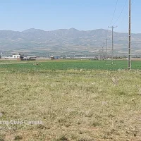 فروش زمین کشاورزی صنعتی|فروش دفتر صنعتی، کشاورزی، تجاری|صائین قلعه, |دیوار