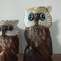 مجسمه چوبی جغد شیک|مجسمه، تندیس، ماکت|مراغه, |دیوار