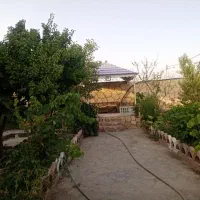 زمین 1000 متری کلاکوب  شاهنامه جاده کلات|فروش زمین و ملک کلنگی|مشهد, کلاکوب|دیوار