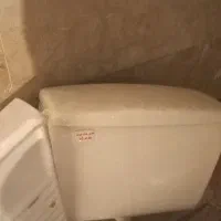 فلاش تانگ سالم