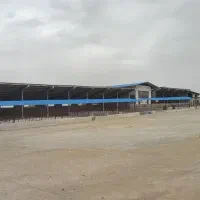 گاوداری50-راسی-تمام-صنعتی-در-شهرک-دامگستر-فشافویه