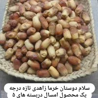 خرمای زاهدی تازه امسالی