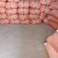 کاه گندم