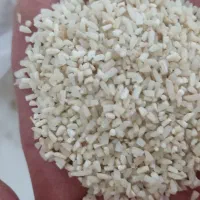 برنج نیم دانه دودی|خوردنی و آشامیدنی|تبریز, |دیوار