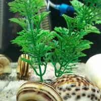 آکواریوم شرکتی دلسا مدل K500|ماهی|کرمانشاه, |دیوار