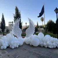 بادکنک آرایی سیرجان|خدمات پذیرایی، مراسم|سیرجان, |دیوار