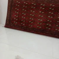 پشتی ترکمنی اصل|پشتی|گنبد کاووس, |دیوار