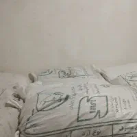 کشمش تیزابی
