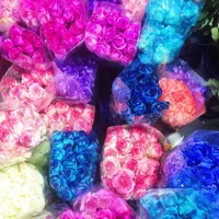 گل رز هلندی قیمت عمده|گل و گیاه طبیعی|شیراز, تاچارا|دیوار