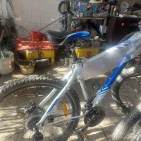 دو چرخه فونیکس|دوچرخه، اسکیت، اسکوتر|فولادشهر, B1|دیوار