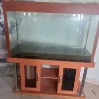آکواریوم